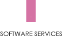 Software Services
